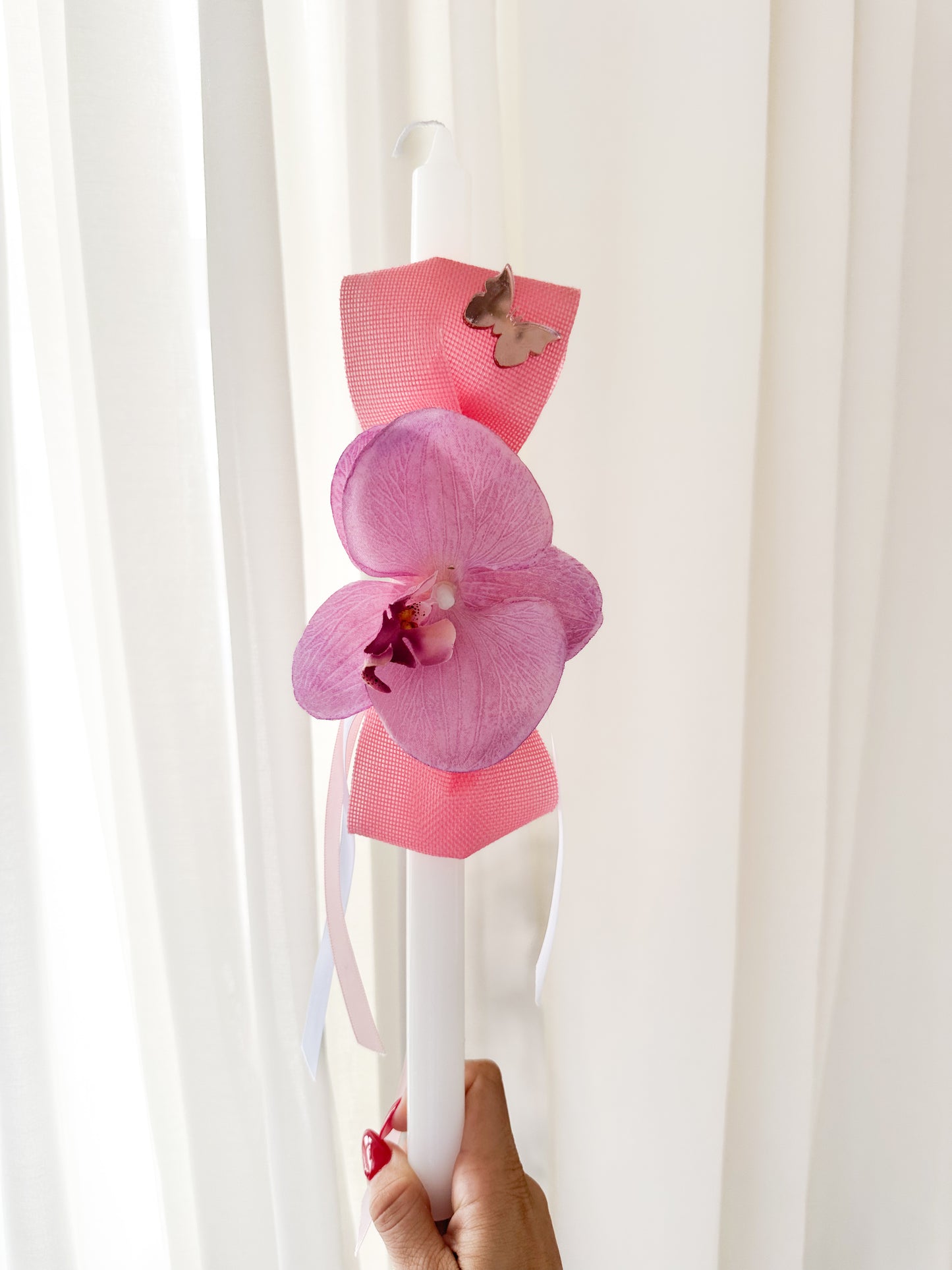 Orchid Bloom